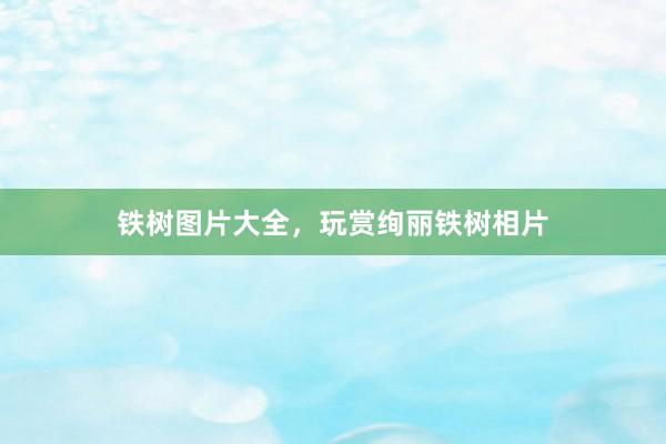 铁树图片大全，玩赏绚丽铁树相片